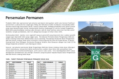 persemaian permanen_LR